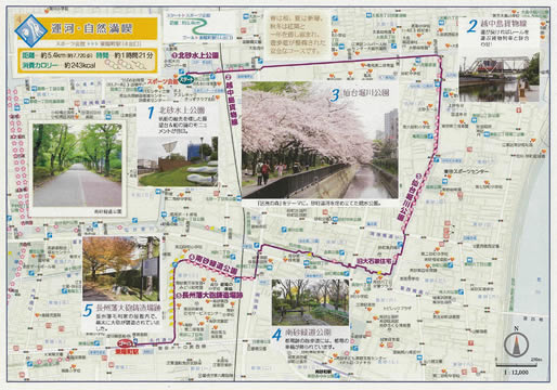 江東区ウォーキングマップ4 運河･自然満喫