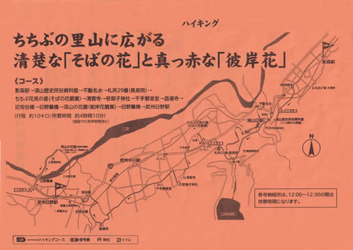 駅からハイキング 影森駅～武州日野駅 そばの花