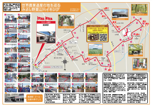健康ハイキング 鶴瀬駅 平地林コース そばの花畑