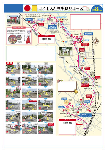 健康ハイキング 久喜駅～鷺宮駅 コスモスロードへ