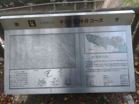 武蔵野の路 9.千川･石神井コース