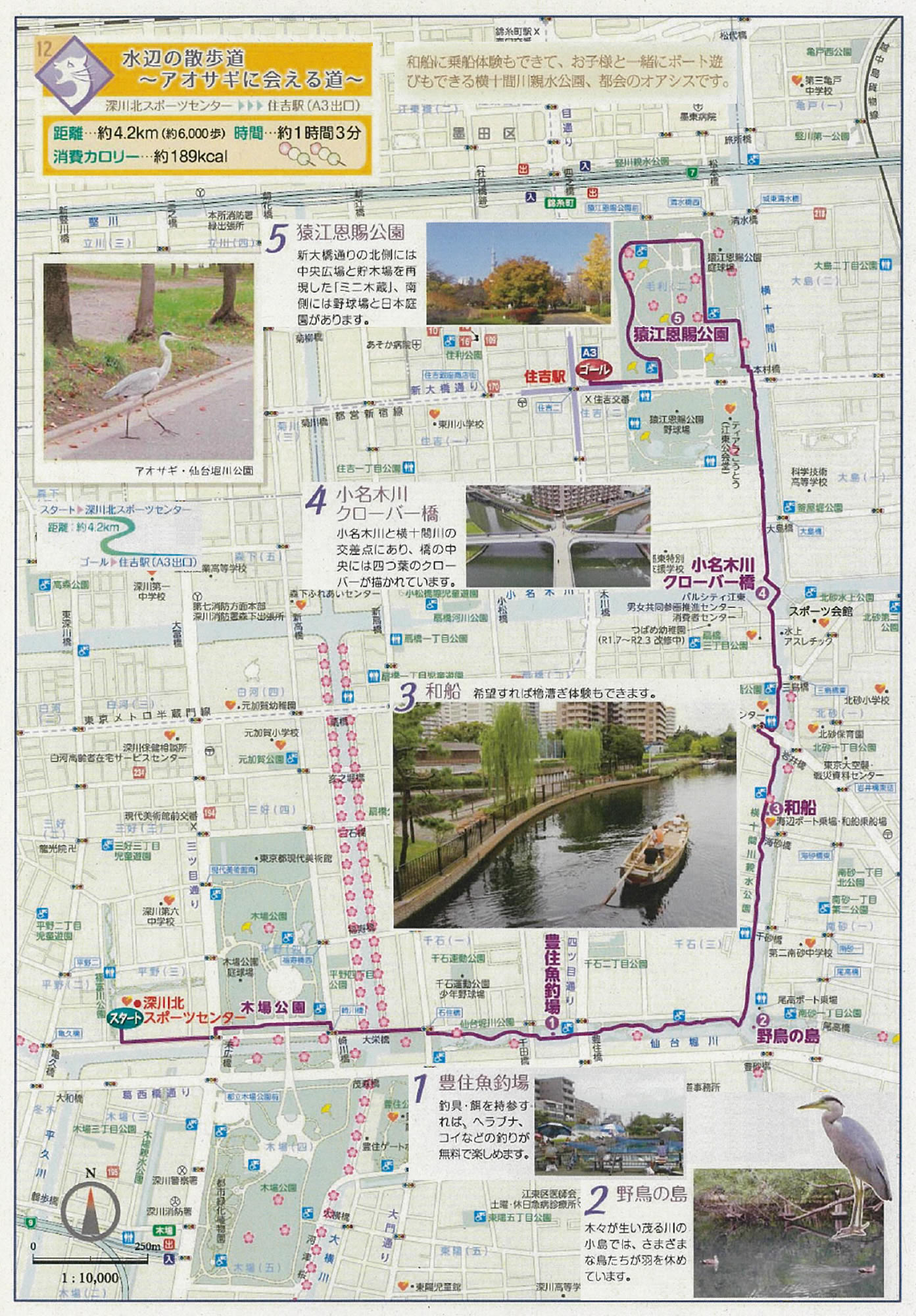 江東区ウォーキングマップ12 水辺の遊歩道