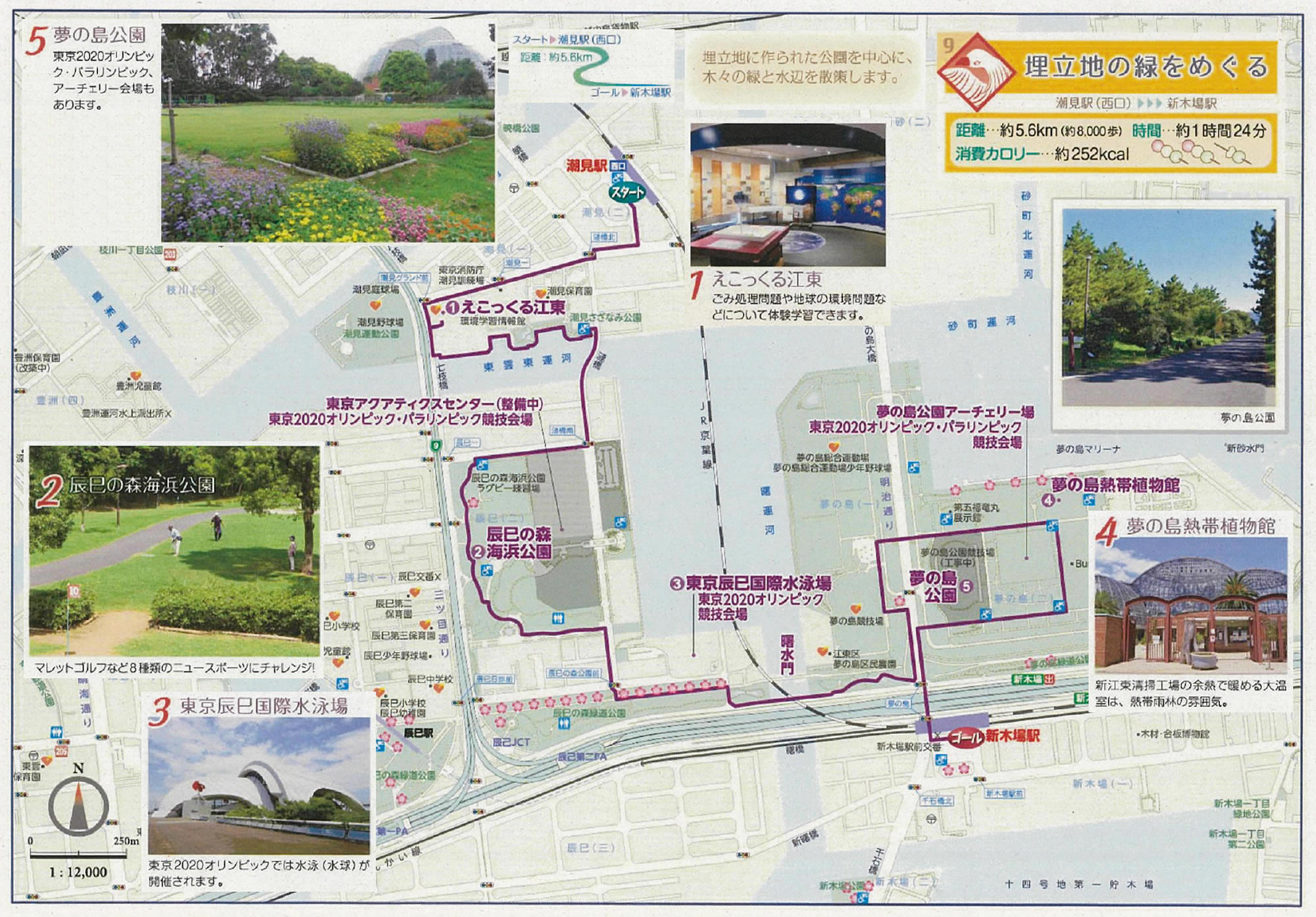 江東区ウォーキングマップ9 埋め立て地の緑を巡る
