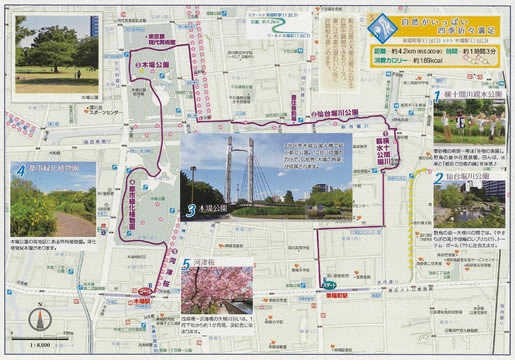 江東区ウォーキングマップ3 木場公園散策