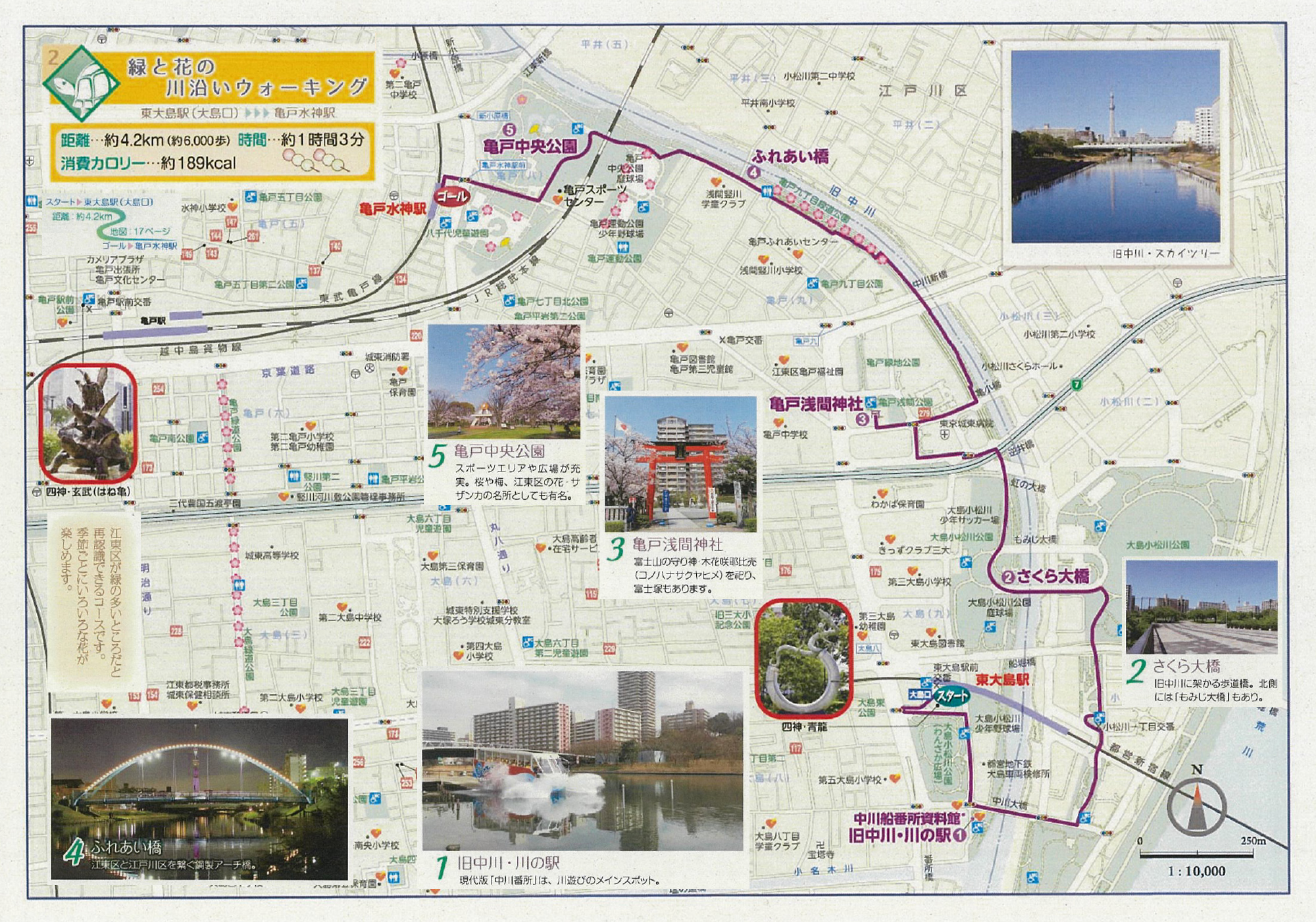 江東区ウォーキングマップ2 緑と花の川沿い散歩