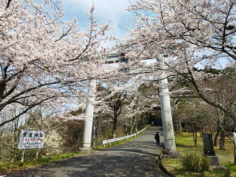 駅からハイキング 岩間駅 愛宕山の絶景と桜の鑑賞