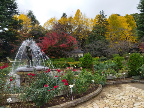 石神井公園を散策しながら自然を楽しもう！
