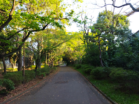 駅からハイキング 菊名駅 坂道の町の遊歩道を歩く