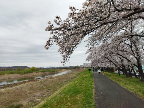 歴史と文化の散歩道 6.新宿コース