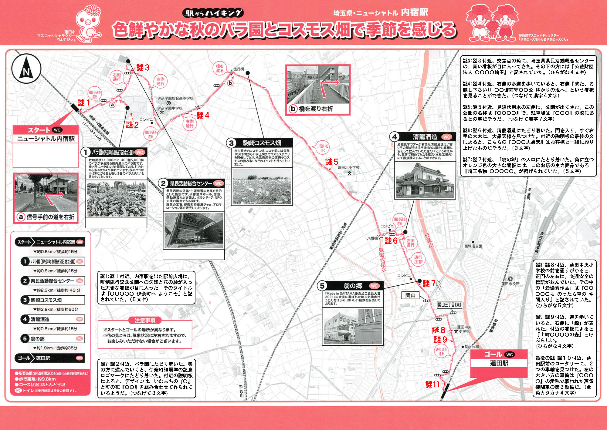 駅からハイキング 内宿駅～蓮田駅 バラ コスモス