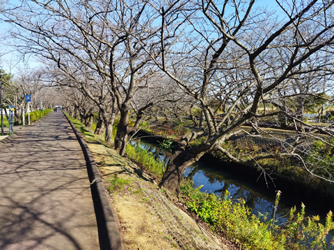 府中市散歩 多磨霊園と武蔵野の森、浅間山を巡る