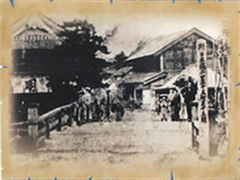 駅からハイキング 松戸駅～新八柱駅 ２１世紀の森