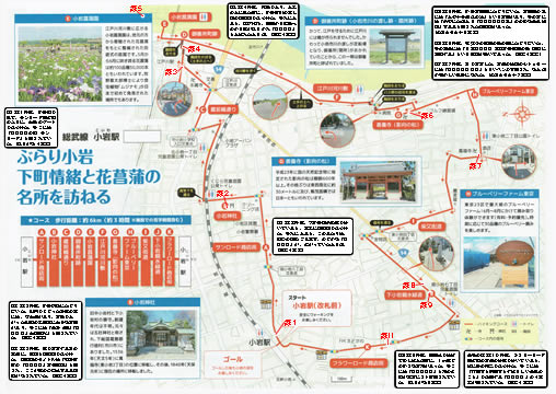 駅からハイキング 小岩駅 影向の松 小岩菖蒲園へ