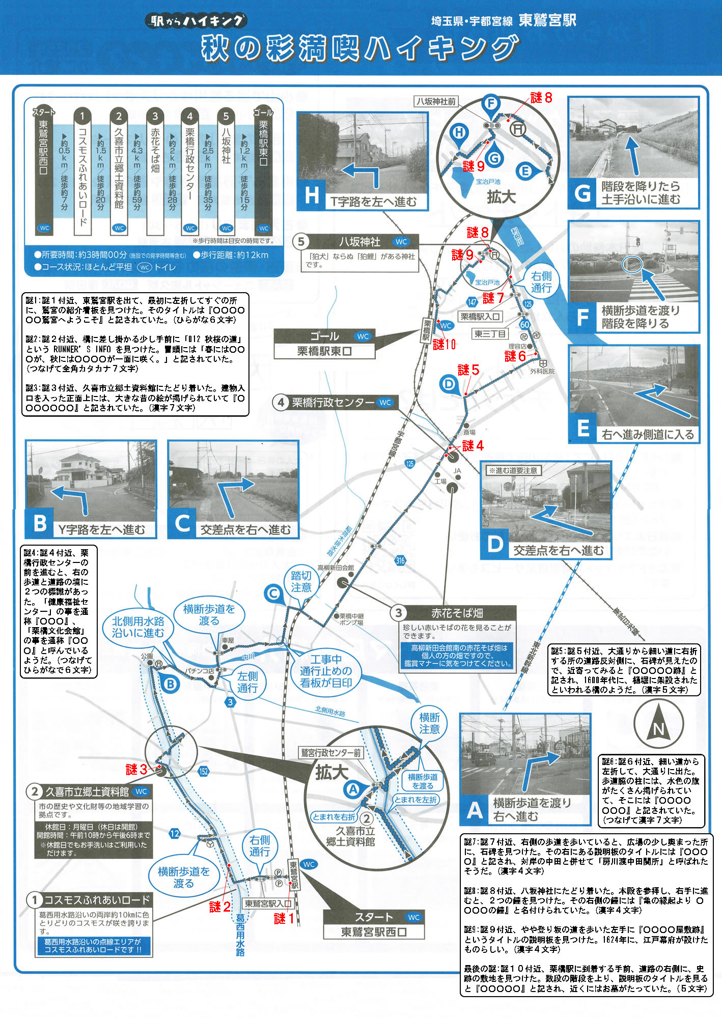 駅からハイキング 東鷲宮駅～栗橋駅 赤花そば畑へ