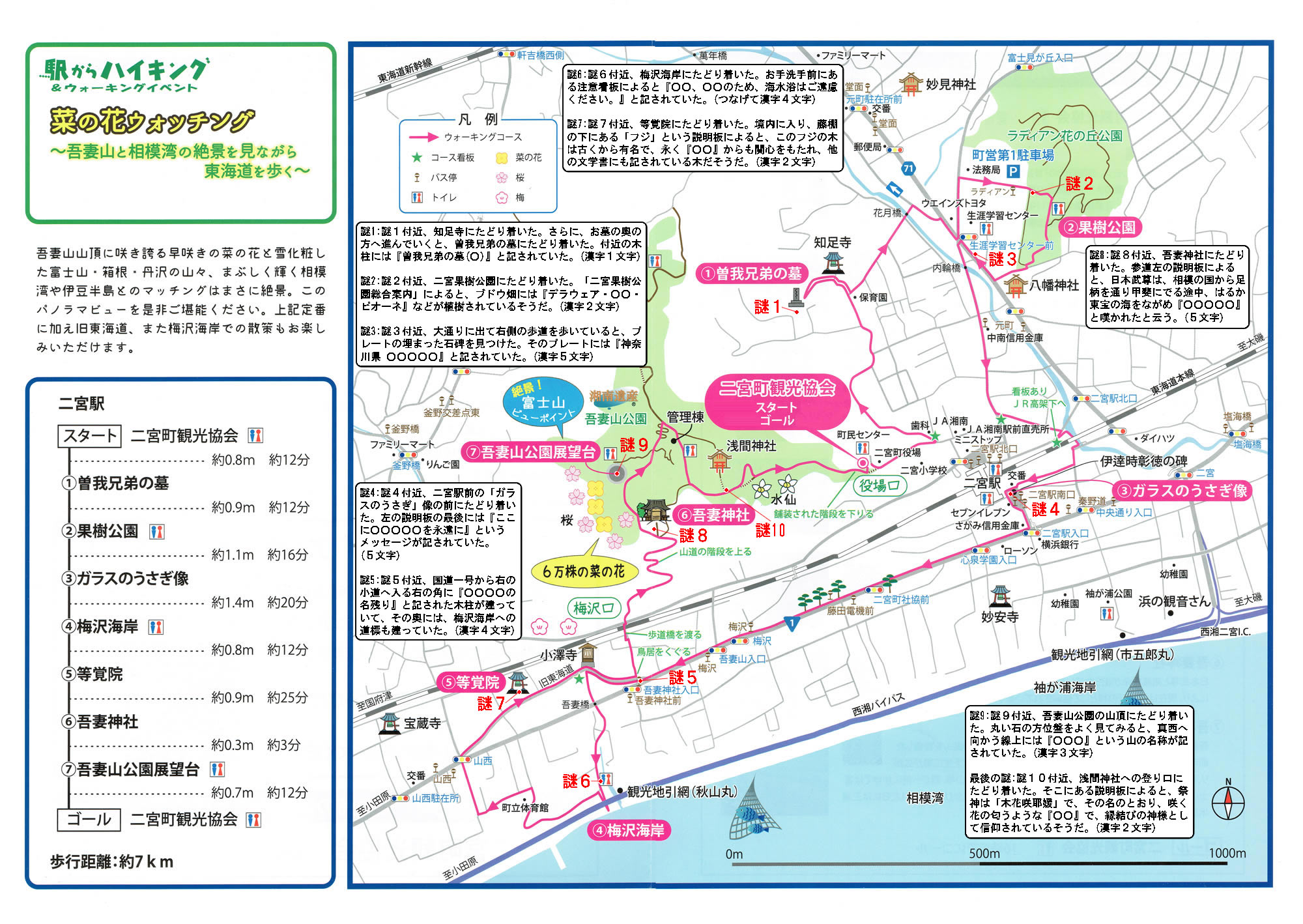 駅からハイキング 二宮駅 菜の花ウォッチング絶景