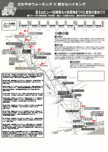 駅からハイキング 下曽我駅～国府津駅 曽我梅林へ
