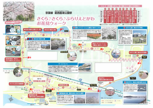駅からハイキング 葛西臨海公園駅 なぎさ公園散策