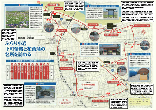 駅からハイキング 小岩駅 小岩菖蒲園 影向の松へ
