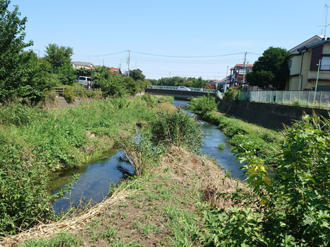 ウォーキング&ハイキング 東久留米駅 清流めぐり