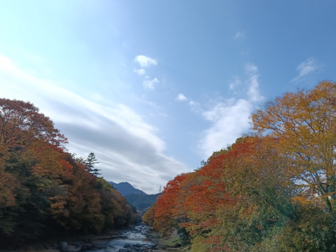 駅からハイキング 武蔵五日市駅 秋川渓谷瀬音の湯
