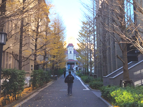 駅からハイキング 新宿駅 戸山公園 箱根山 早稲田