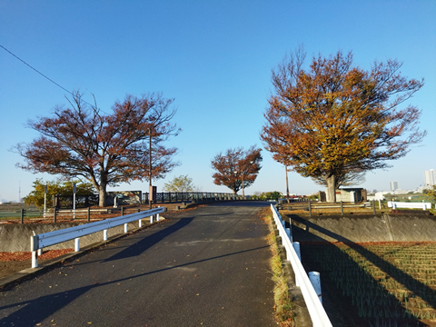 駅からハイキング 松戸駅～金町駅 野菊の墓文学碑