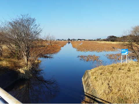 健康ハイキング 館林駅 城沼 旧秋元別邸 尾曳稲荷
