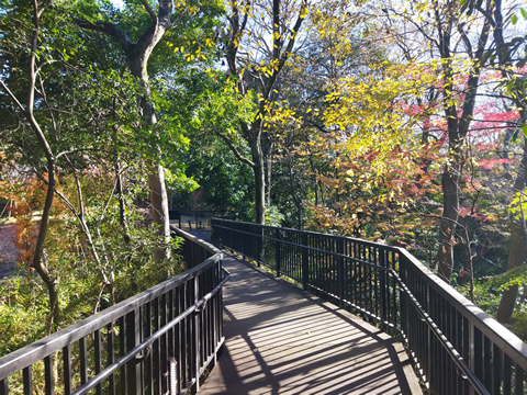 駅からハイキング 千葉駅～蘇我駅 大賀ハス千葉城
