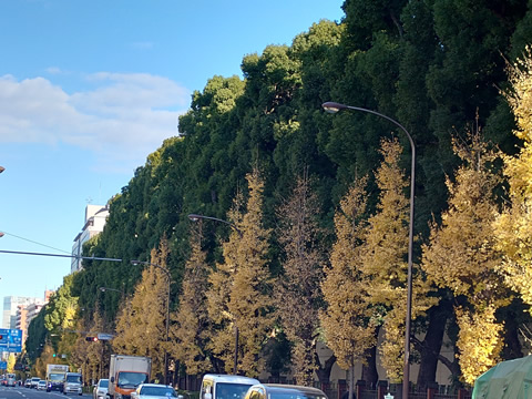 ウォーキング＆ハイキング 田端駅～本郷三丁目駅