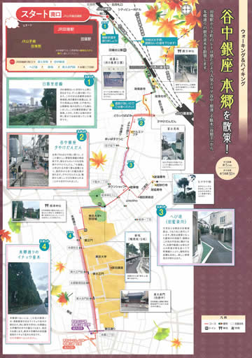 ウォーキング＆ハイキング 田端駅～本郷三丁目駅