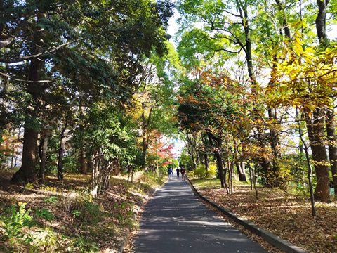 駅からハイキング 大森駅～流通センター駅 鷲神社