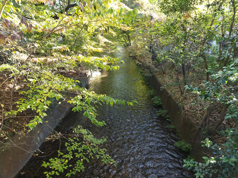 ウォーキング＆ハイキング 東大和市駅武蔵砂川駅