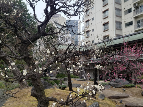 駅からハイキング 日暮里駅～秋葉原駅 旧万世橋駅