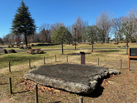 ウォーキング＆ハイキング 東伏見駅～武蔵境駅