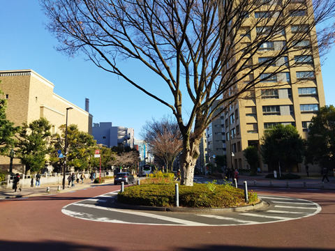 駅からハイキング 千駄ヶ谷駅～高田馬場駅 箱根山