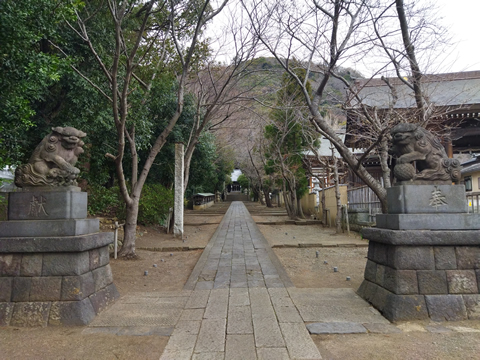 駅からハイキング 四ツ谷駅発着 神宮外苑コース