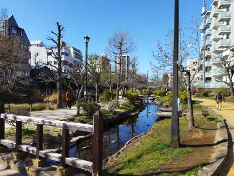 駅からハイキング 両国駅～浅草駅 大横川親水公園