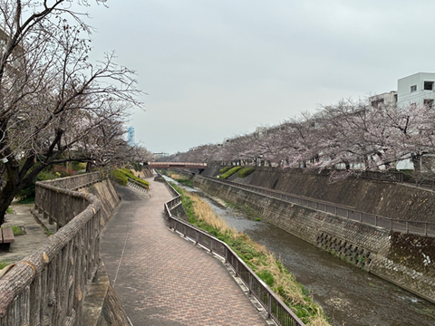 駅からハイキング 日野駅～豊田駅 湧水の町日野宿