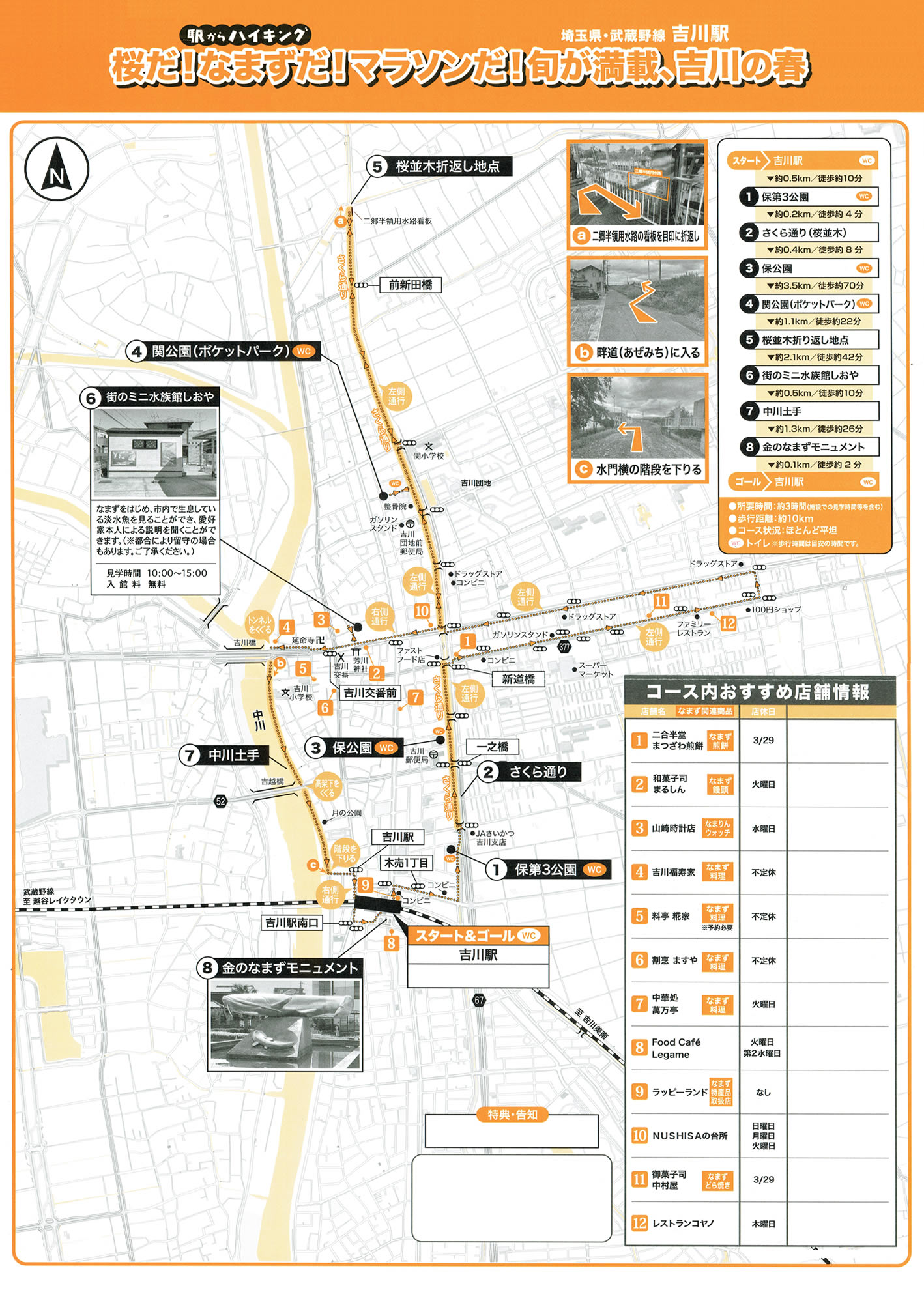 駅からハイキング 吉川駅 さくら通り 金のなまず