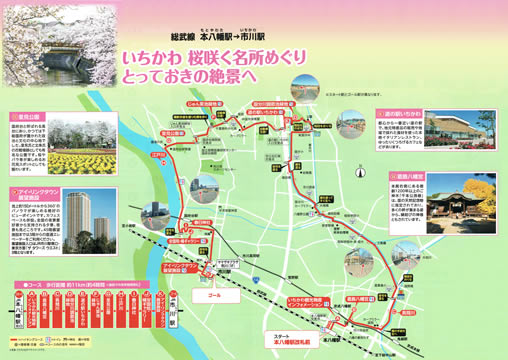 駅からハイキング 本八幡駅～市川駅 真間川桜並木