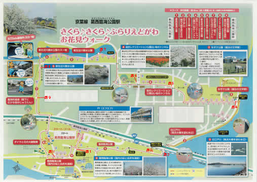 駅からハイキング 葛西臨海公園駅 桜と自然を満喫