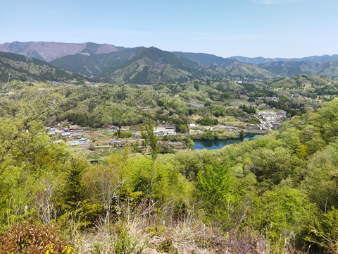 駅からハイキング 館山駅 館山城 沼のびゃくしん