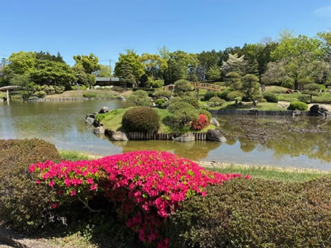 健康ハイキング 越谷駅 越ヶ谷御殿跡 久伊豆神社